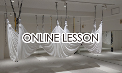 ONLINE LESSON